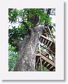 08-StLucia - 019